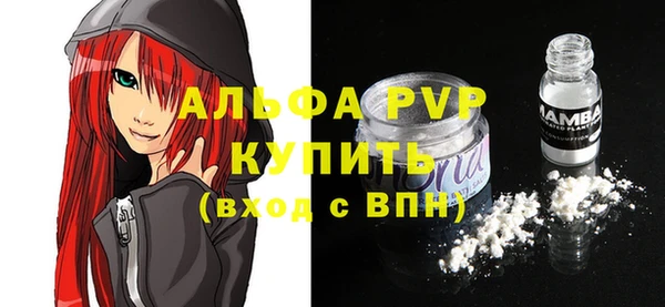 стафф Новозыбков