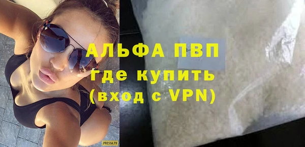 стафф Новозыбков