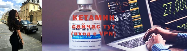 крисы Новокубанск