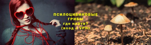 стафф Новозыбков