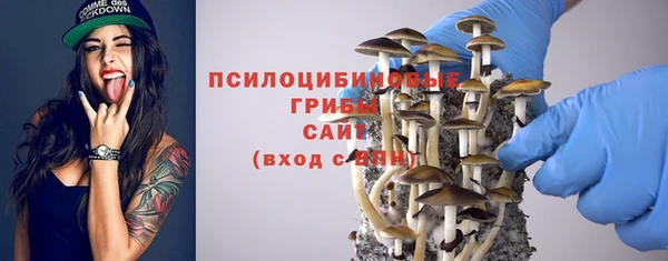 скорость mdpv Новодвинск
