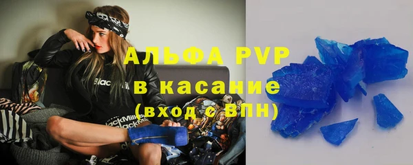 стафф Новозыбков