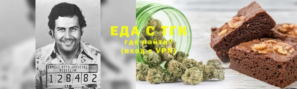крисы Новокубанск