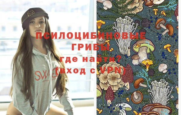 скорость mdpv Новодвинск