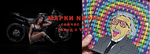 крисы Новокубанск