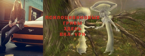 стафф Новозыбков