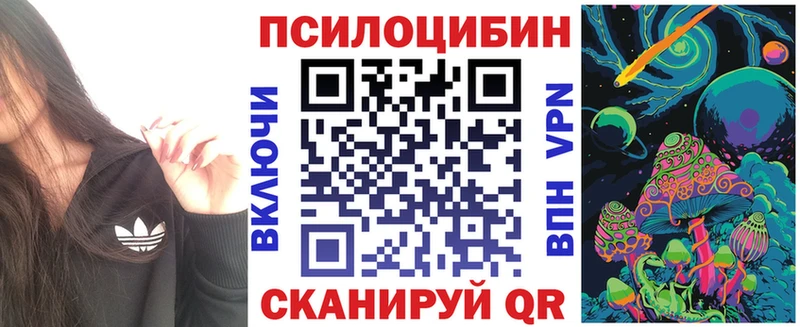 OMG ONION  Киренск  Галлюциногенные грибы Magic Shrooms 
